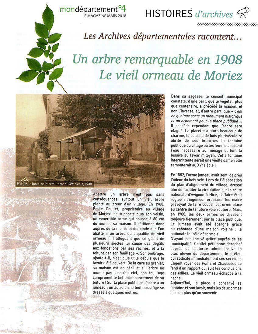 Un arbre remarquable en 1908.  Le vieil ormeau de Moriez