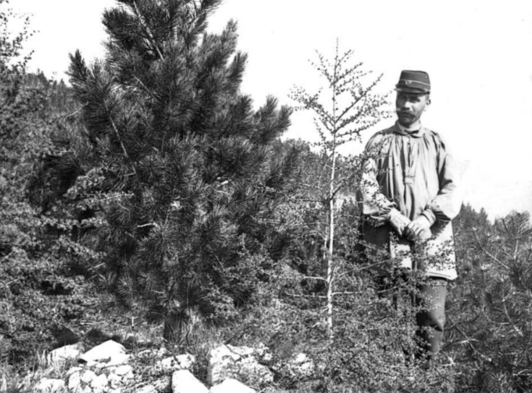 Les archives en images